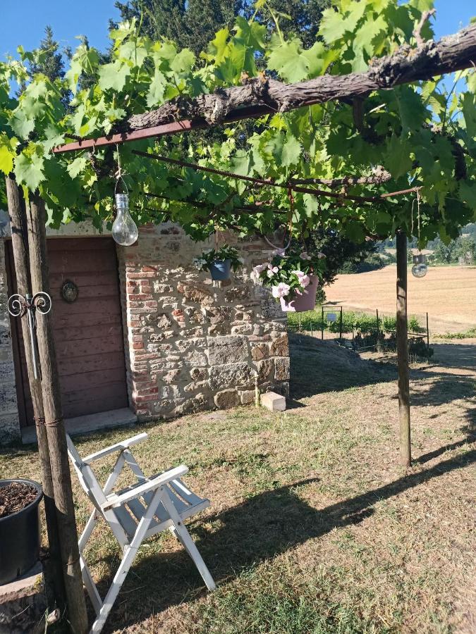 Agriturismo Podere La Selva Serre Di Rapolano Exterior photo