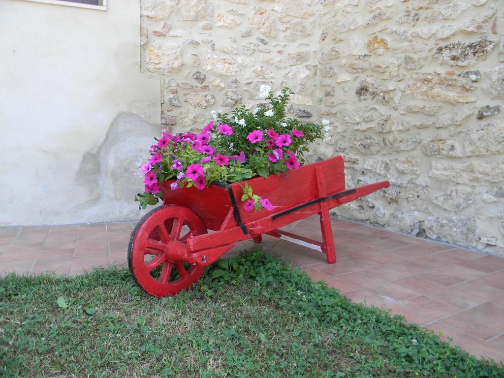 Agriturismo Podere La Selva Serre Di Rapolano Exterior photo