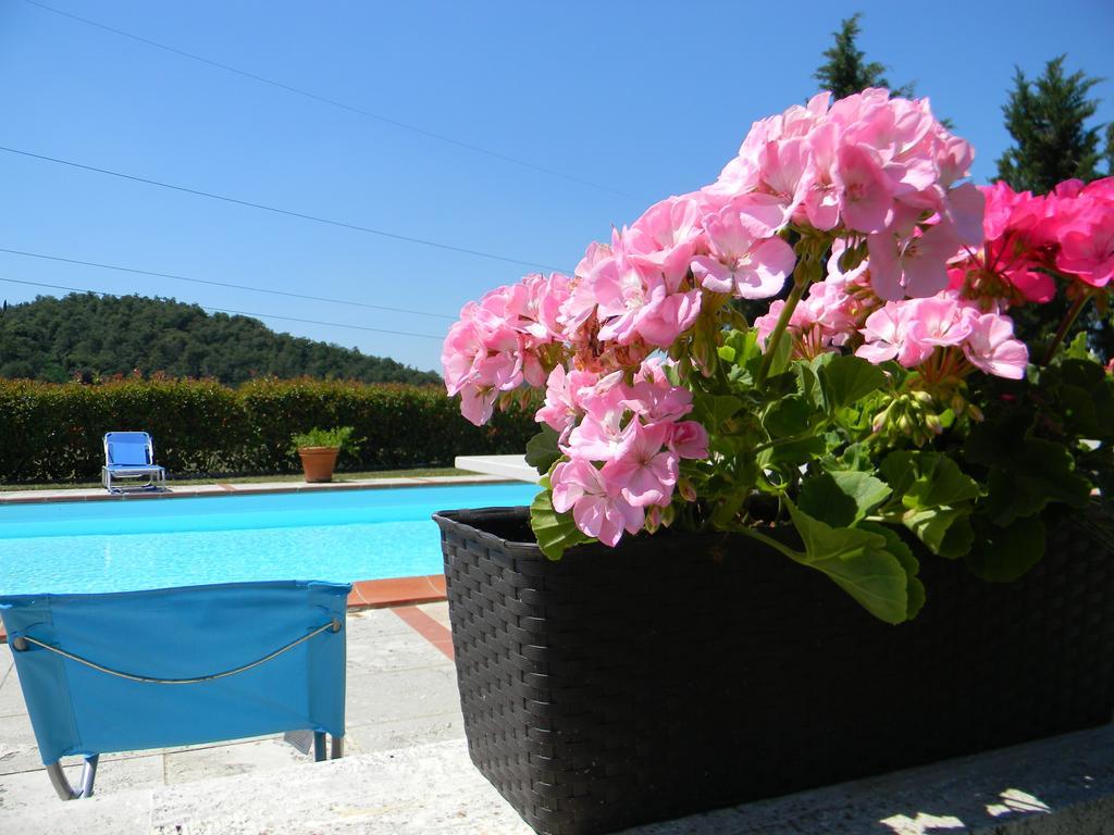 Agriturismo Podere La Selva Serre Di Rapolano Exterior photo