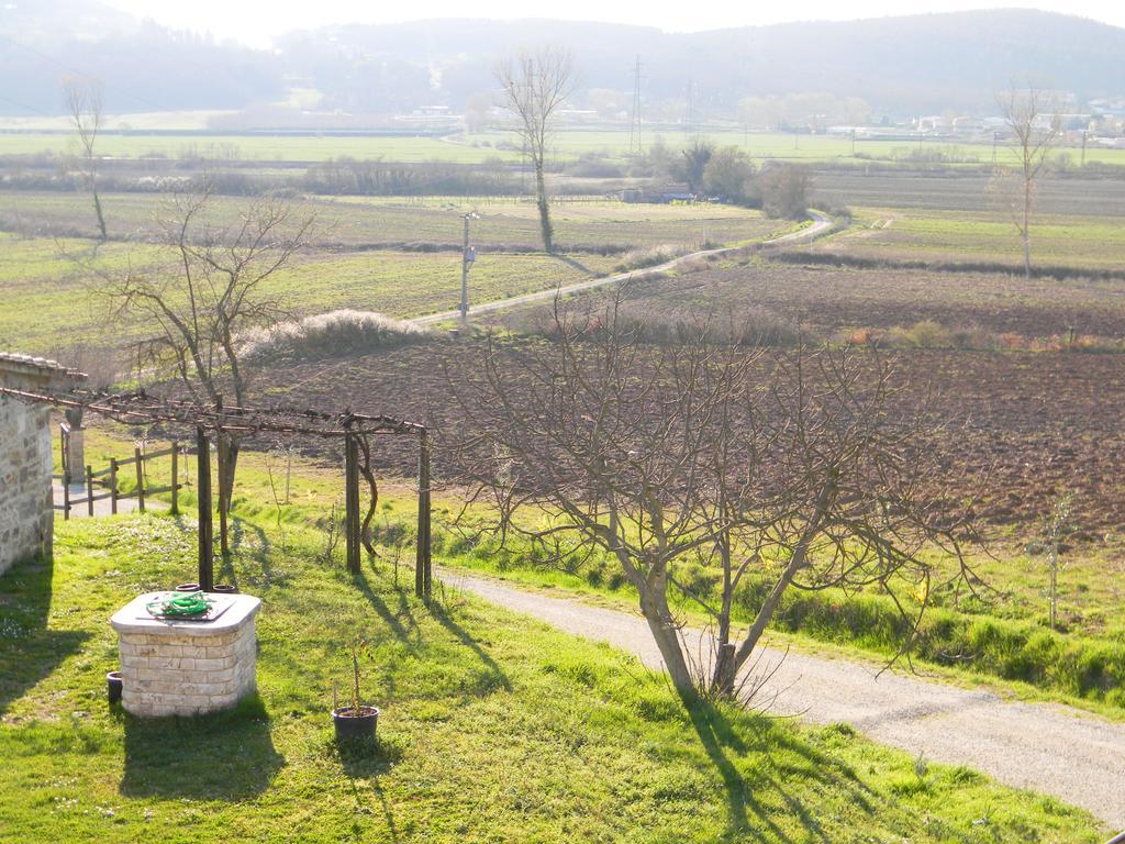 Agriturismo Podere La Selva Serre Di Rapolano Exterior photo