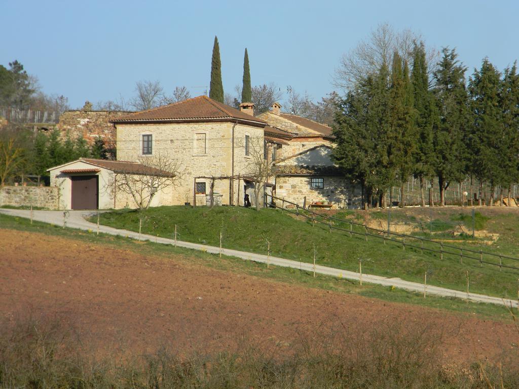 Agriturismo Podere La Selva Serre Di Rapolano Exterior photo