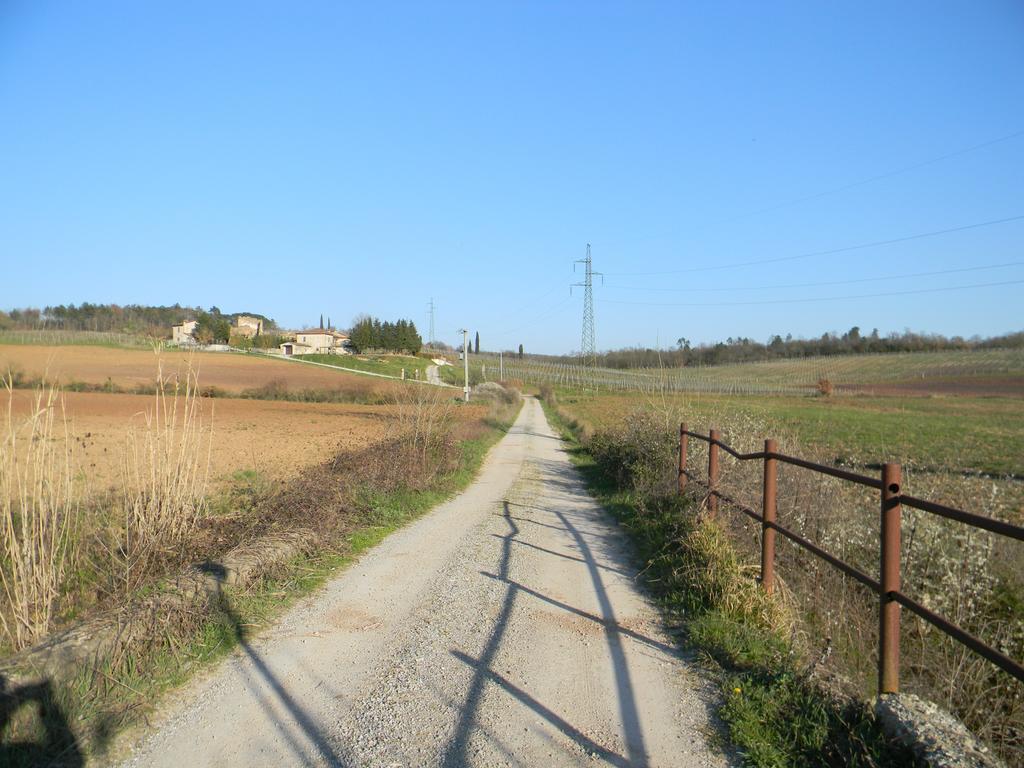 Agriturismo Podere La Selva Serre Di Rapolano Exterior photo