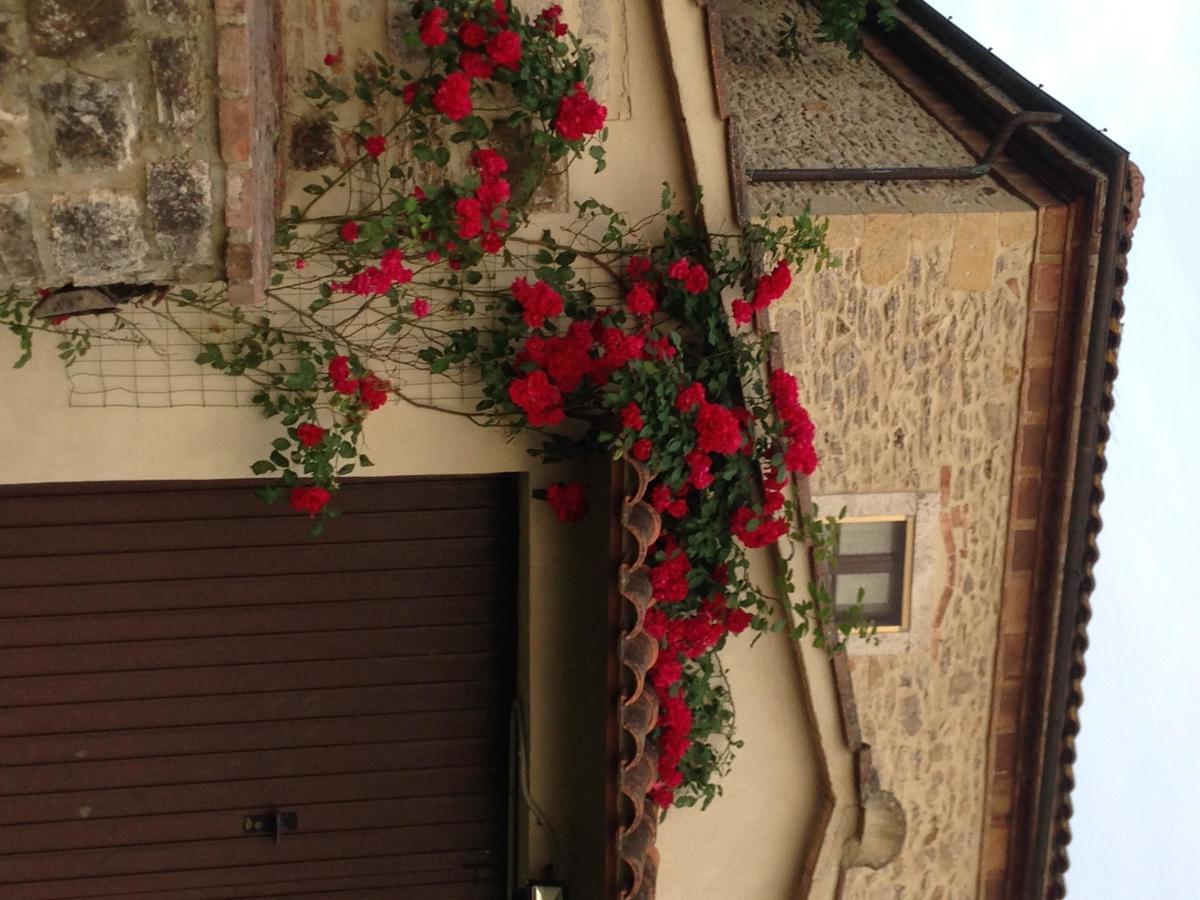 Agriturismo Podere La Selva Serre Di Rapolano Exterior photo